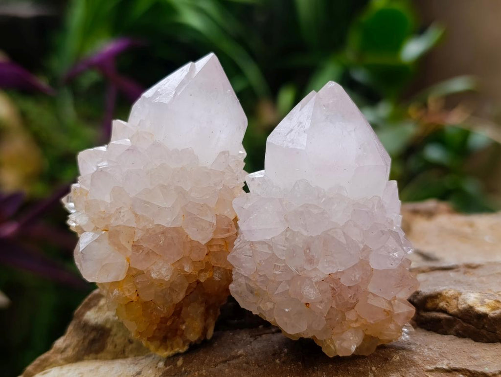 Natural Spirit Amethyst Crystals and Clusters x 12 From Boekenhouthoek, South Africa - Toprock Gemstones and Minerals 