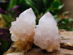 Natural Spirit Amethyst Crystals and Clusters x 12 From Boekenhouthoek, South Africa - Toprock Gemstones and Minerals 