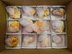 Natural Spirit Amethyst Crystals and Clusters x 12 From Boekenhouthoek, South Africa - Toprock Gemstones and Minerals 
