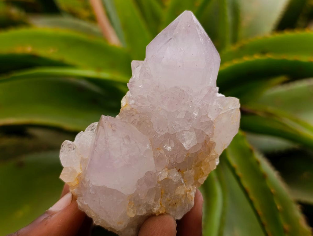 Natural Spirit Amethyst Crystals and Clusters x 12 From Boekenhouthoek, South Africa - Toprock Gemstones and Minerals 