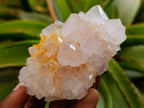 Natural Spirit Amethyst Crystals and Clusters x 12 From Boekenhouthoek, South Africa - Toprock Gemstones and Minerals 