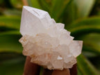 Natural Spirit Amethyst Crystals and Clusters x 12 From Boekenhouthoek, South Africa - Toprock Gemstones and Minerals 