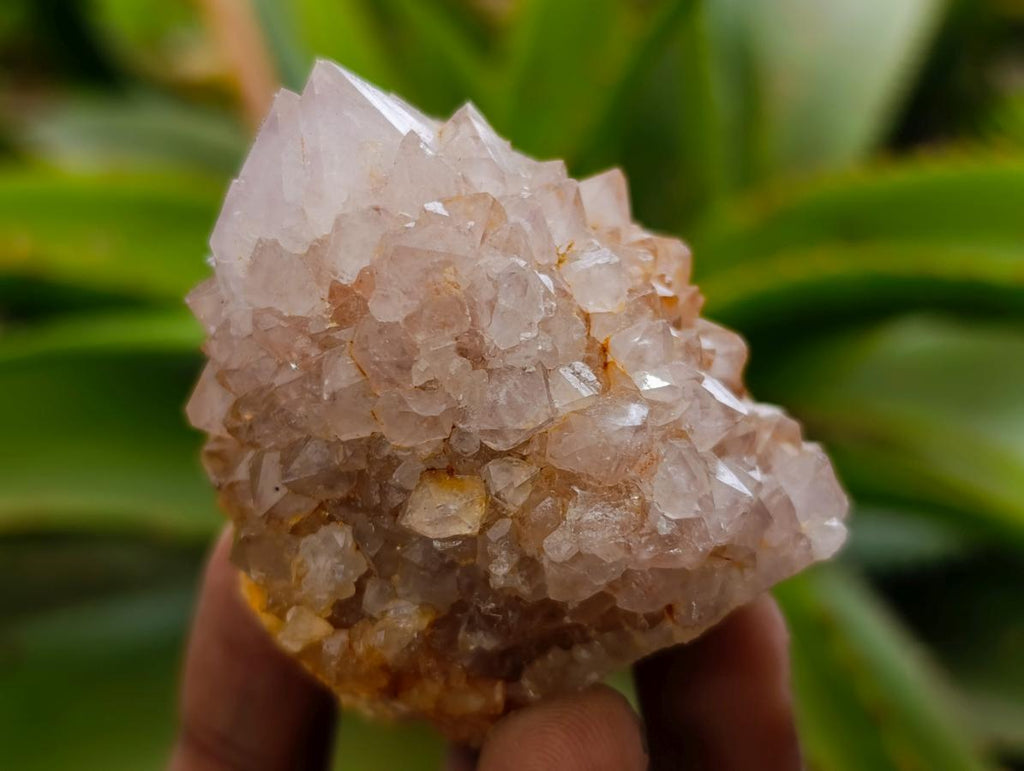 Natural Spirit Amethyst Crystals and Clusters x 12 From Boekenhouthoek, South Africa - Toprock Gemstones and Minerals 