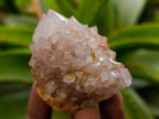 Natural Spirit Amethyst Crystals and Clusters x 12 From Boekenhouthoek, South Africa - Toprock Gemstones and Minerals 
