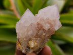 Natural Spirit Amethyst Crystals and Clusters x 12 From Boekenhouthoek, South Africa - Toprock Gemstones and Minerals 
