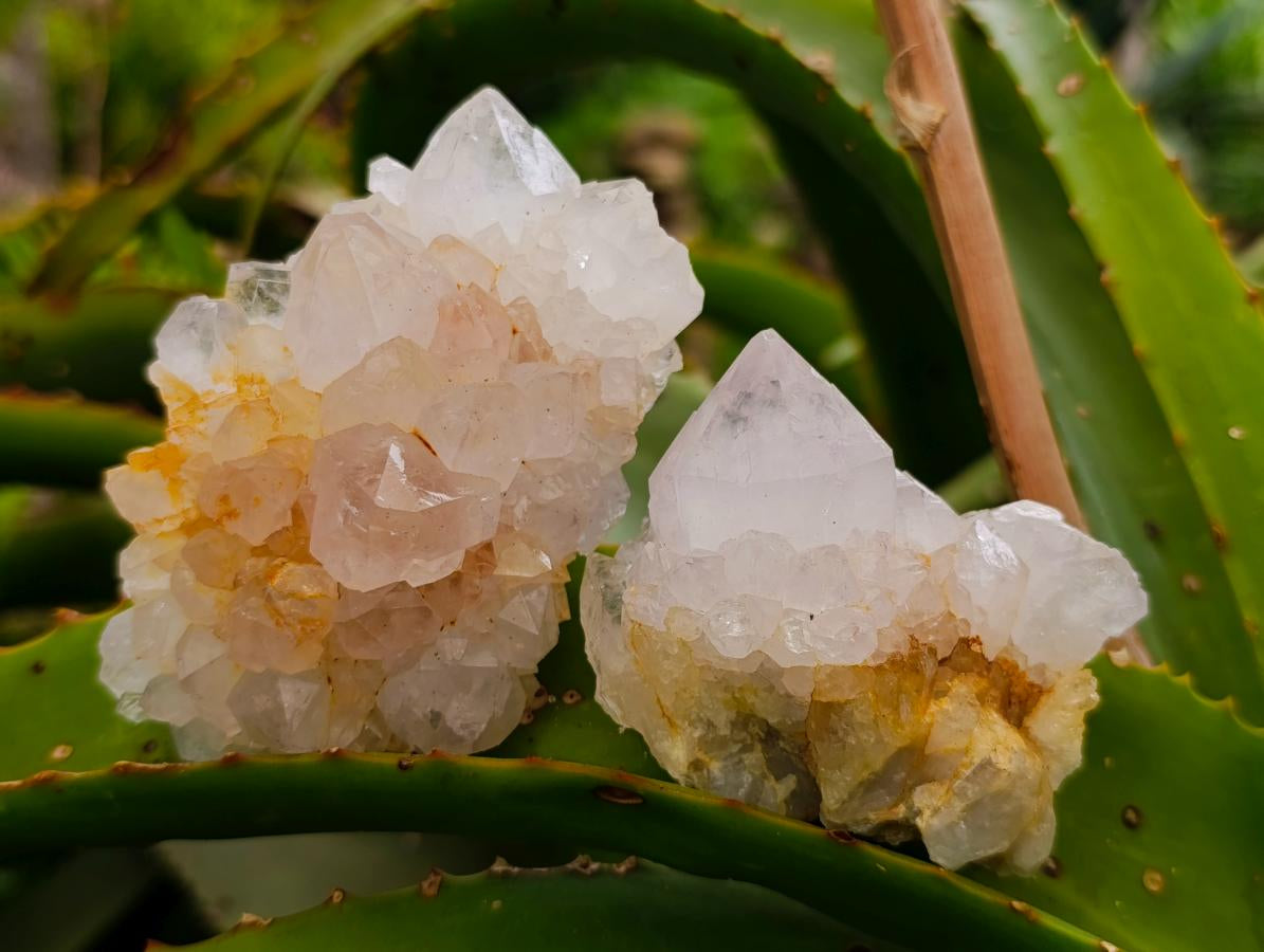 Natural Spirit Amethyst Crystals and Clusters x 12 From Boekenhouthoek, South Africa - Toprock Gemstones and Minerals 