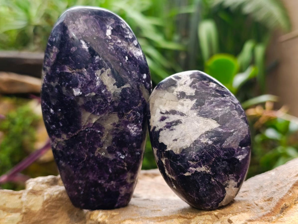 Polished Silver Leaf Lepidolite Standing Display Pieces x 6 From Zimbabwe - Toprock Gemstones and Minerals 
