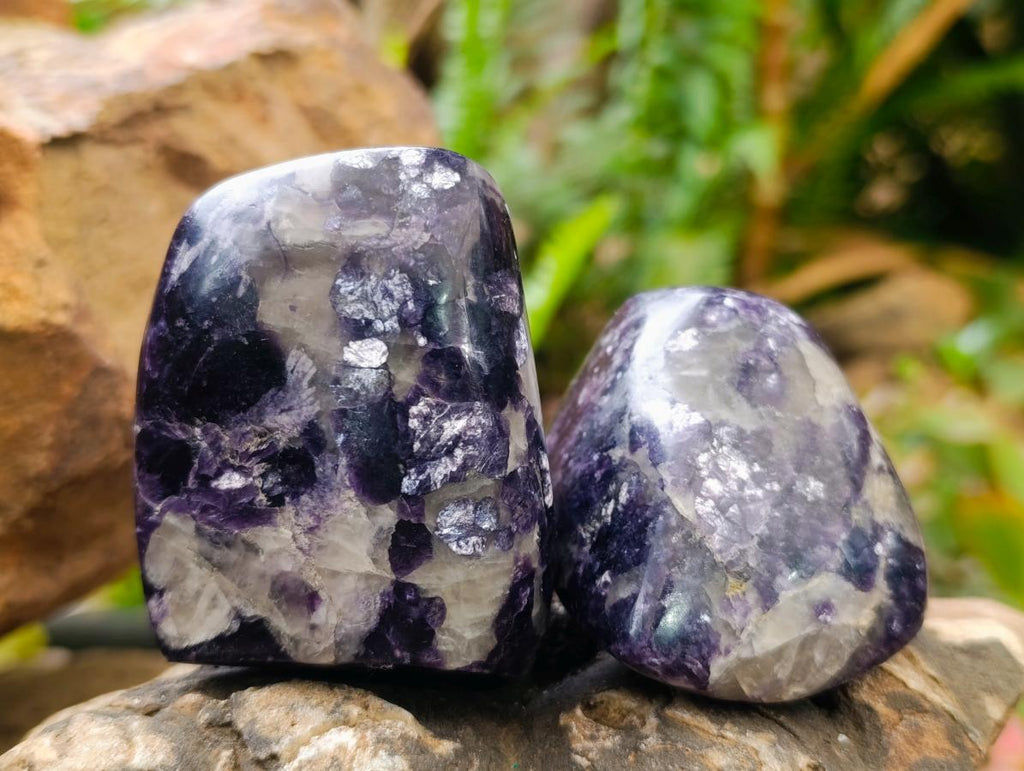 Polished Silver Leaf Lepidolite Standing Display Pieces x 6 From Zimbabwe - Toprock Gemstones and Minerals 