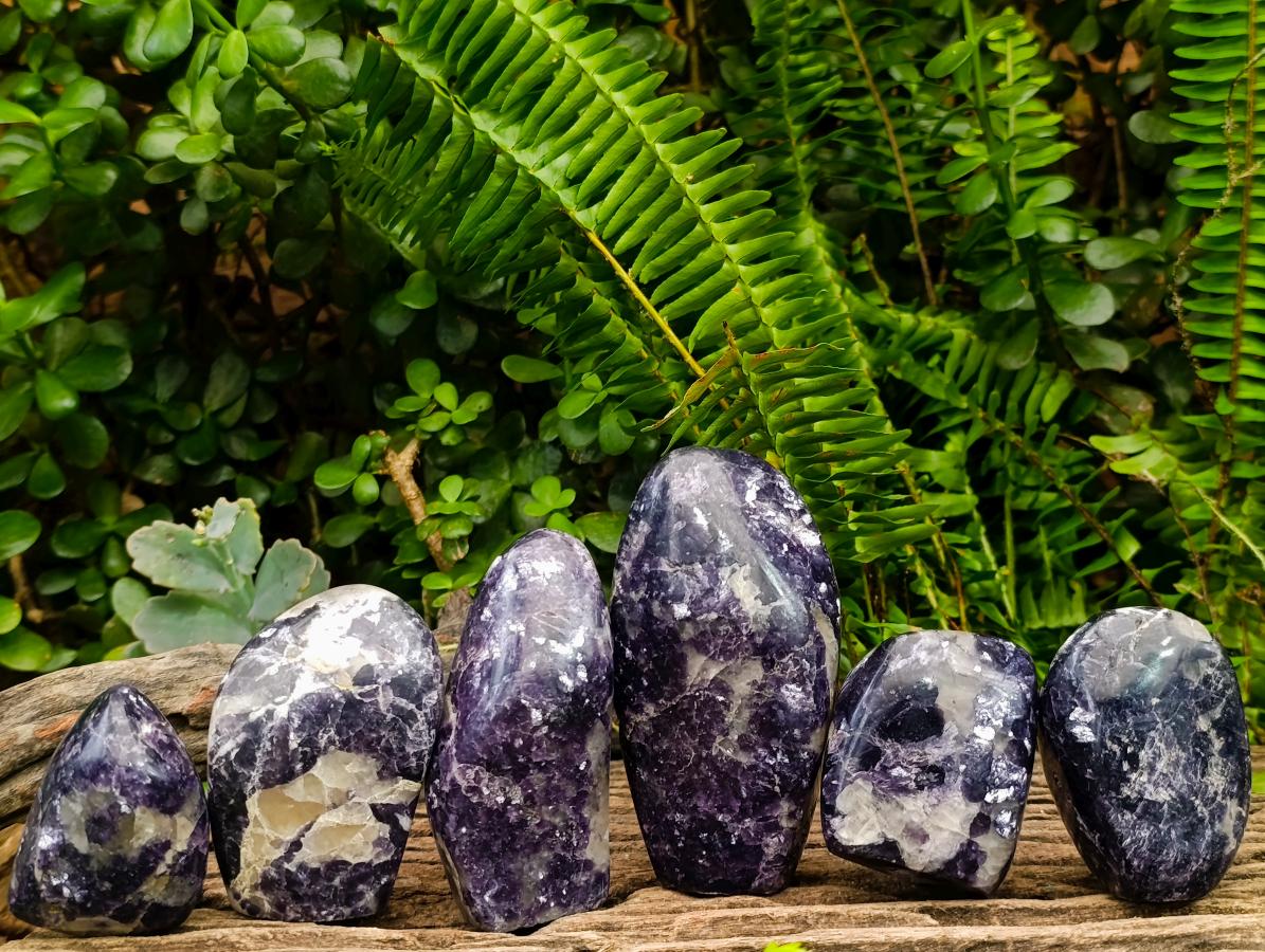Polished Silver Leaf Lepidolite Standing Display Pieces x 6 From Zimbabwe - Toprock Gemstones and Minerals 