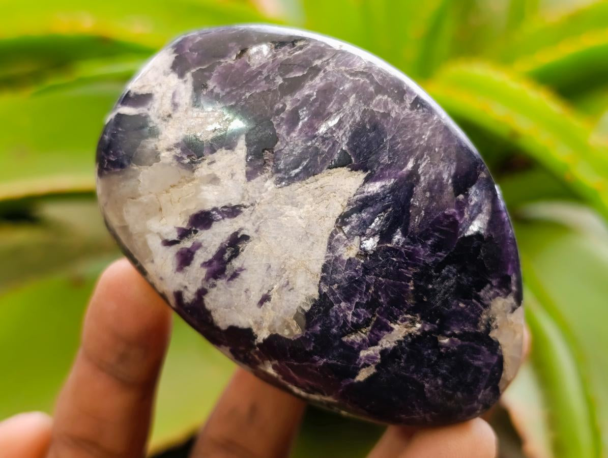 Polished Silver Leaf Lepidolite Standing Display Pieces x 6 From Zimbabwe - Toprock Gemstones and Minerals 