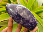 Polished Silver Leaf Lepidolite Standing Display Pieces x 6 From Zimbabwe - Toprock Gemstones and Minerals 