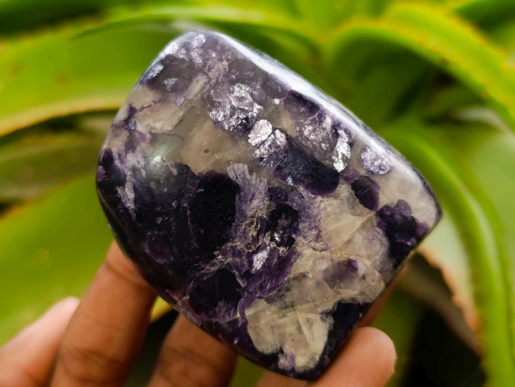 Polished Silver Leaf Lepidolite Standing Display Pieces x 6 From Zimbabwe - Toprock Gemstones and Minerals 
