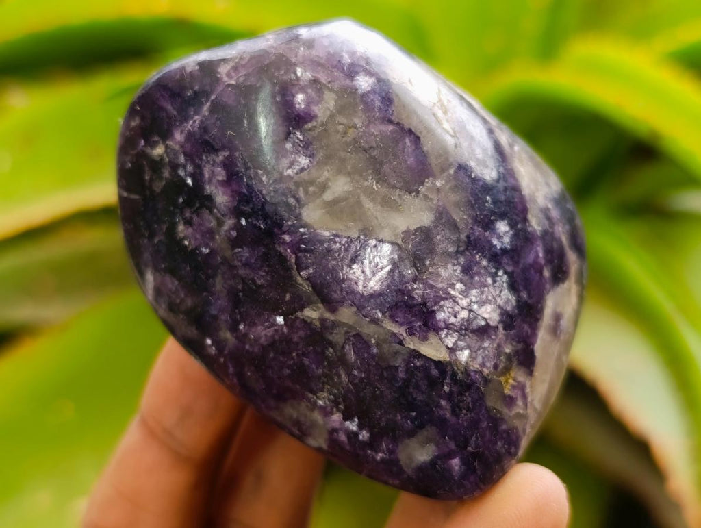 Polished Silver Leaf Lepidolite Standing Display Pieces x 6 From Zimbabwe - Toprock Gemstones and Minerals 