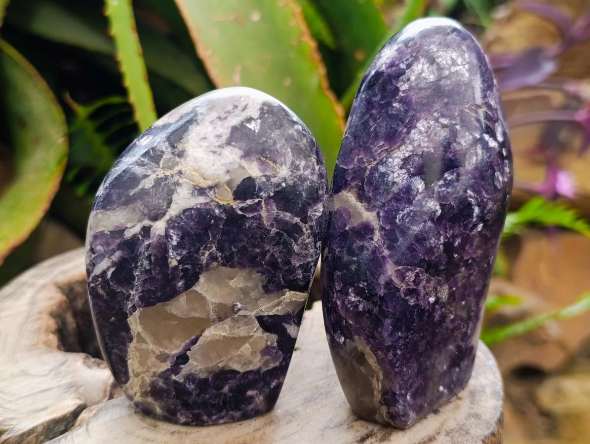 Polished Silver Leaf Lepidolite Standing Display Pieces x 6 From Zimbabwe - Toprock Gemstones and Minerals 