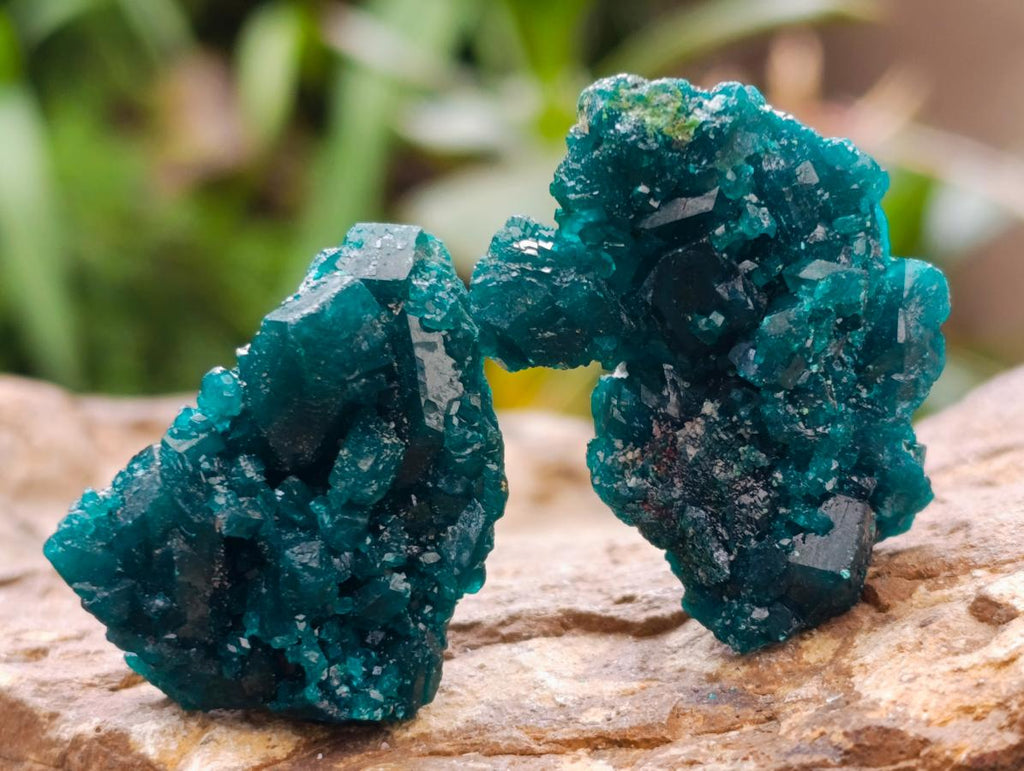 Natural Small Dioptase Specimens on Dolomite Matrix x 20 From Tantara Mine, Congo - Toprock Gemstones and Minerals 