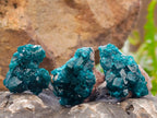 Natural Small Dioptase Specimens on Dolomite Matrix x 20 From Tantara Mine, Congo - Toprock Gemstones and Minerals 
