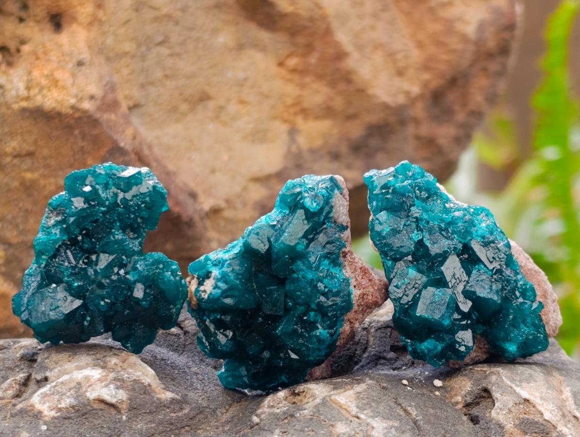 Natural Small Dioptase Specimens on Dolomite Matrix x 20 From Tantara Mine, Congo - Toprock Gemstones and Minerals 