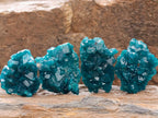 Natural Small Dioptase Specimens on Dolomite Matrix x 20 From Tantara Mine, Congo - Toprock Gemstones and Minerals 