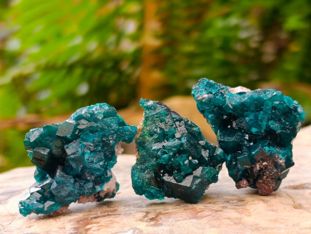 Natural Small Dioptase Specimens on Dolomite Matrix x 20 From Tantara Mine, Congo - Toprock Gemstones and Minerals 