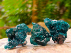 Natural Small Dioptase Specimens on Dolomite Matrix x 20 From Tantara Mine, Congo - Toprock Gemstones and Minerals 