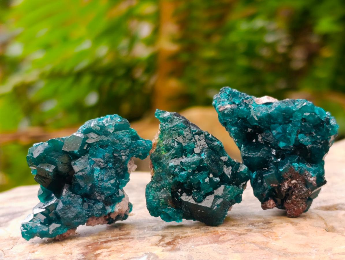 Natural Small Dioptase Specimens on Dolomite Matrix x 20 From Tantara Mine, Congo - Toprock Gemstones and Minerals 