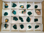 Natural Small Dioptase Specimens on Dolomite Matrix x 20 From Tantara Mine, Congo - Toprock Gemstones and Minerals 