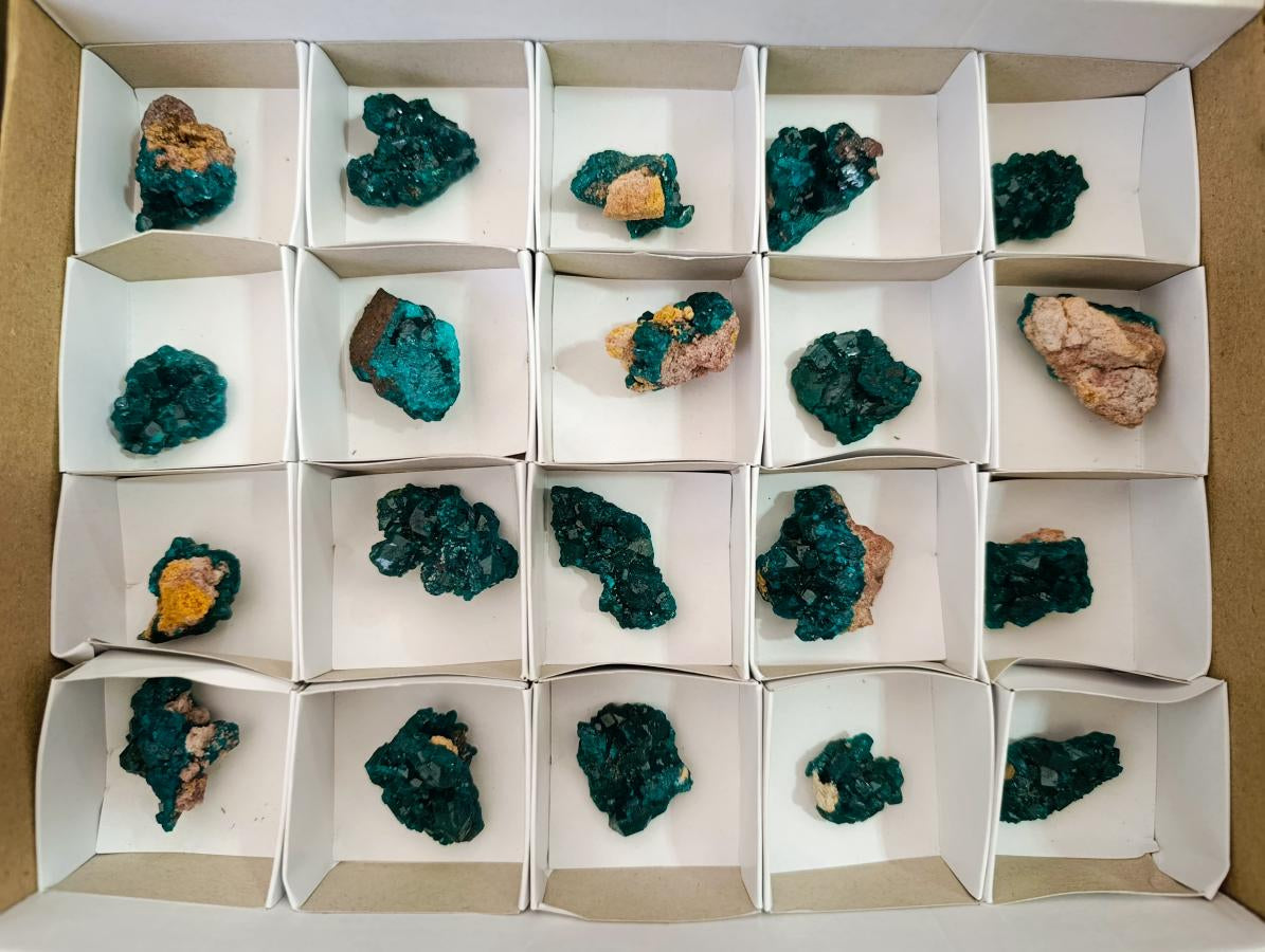 Natural Small Dioptase Specimens on Dolomite Matrix x 20 From Tantara Mine, Congo - Toprock Gemstones and Minerals 