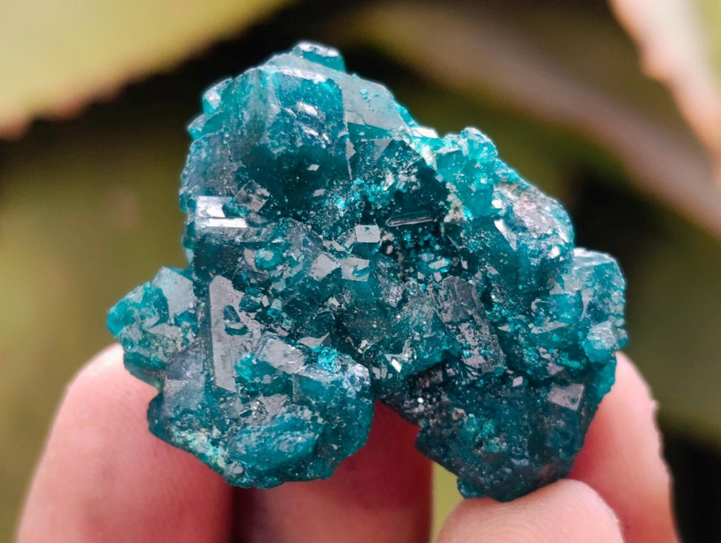 Natural Small Dioptase Specimens on Dolomite Matrix x 20 From Tantara Mine, Congo - Toprock Gemstones and Minerals 