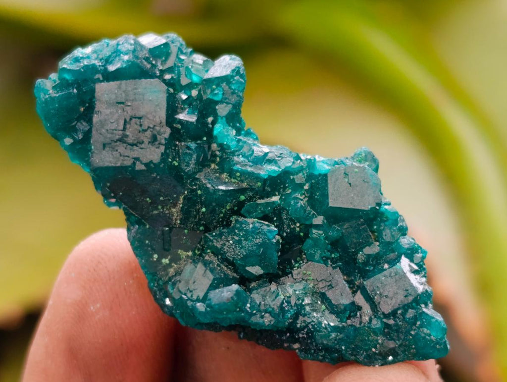 Natural Small Dioptase Specimens on Dolomite Matrix x 20 From Tantara Mine, Congo - Toprock Gemstones and Minerals 