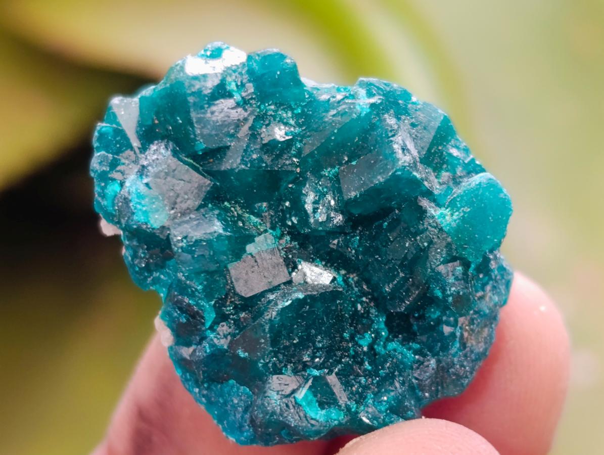 Natural Small Dioptase Specimens on Dolomite Matrix x 20 From Tantara Mine, Congo - Toprock Gemstones and Minerals 