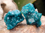 Natural Small Dioptase Specimens on Dolomite Matrix x 20 From Tantara Mine, Congo - Toprock Gemstones and Minerals 
