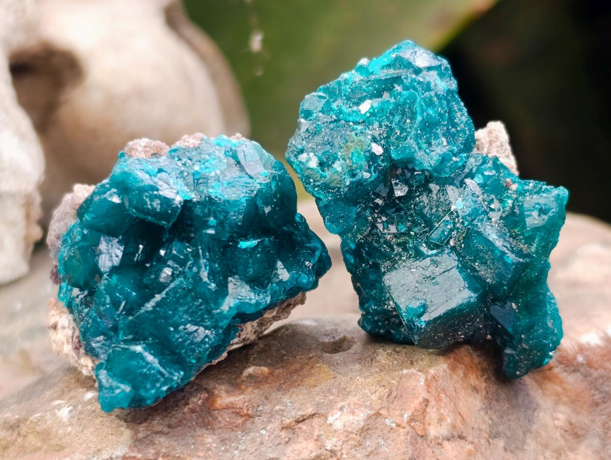 Natural Small Dioptase Specimens on Dolomite Matrix x 20 From Tantara Mine, Congo - Toprock Gemstones and Minerals 