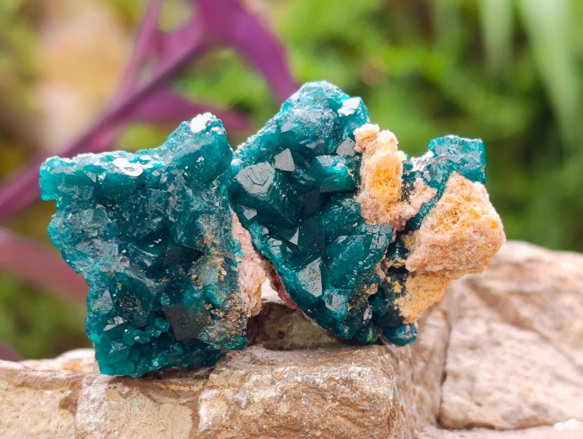 Natural Small Dioptase Specimens on Dolomite Matrix x 20 From Tantara Mine, Congo - Toprock Gemstones and Minerals 