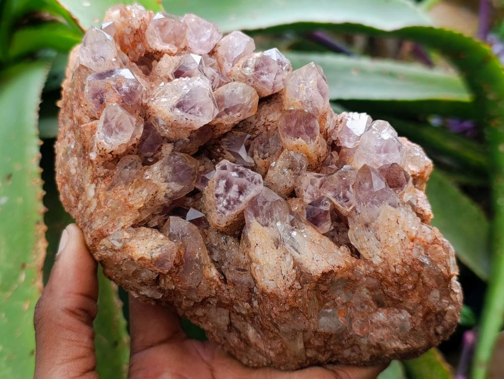 Natural Sugar Amethyst Clusters x 3 From Solwezi, Zambia - Toprock Gemstones and Minerals 