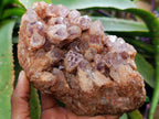 Natural Sugar Amethyst Clusters x 3 From Solwezi, Zambia - Toprock Gemstones and Minerals 