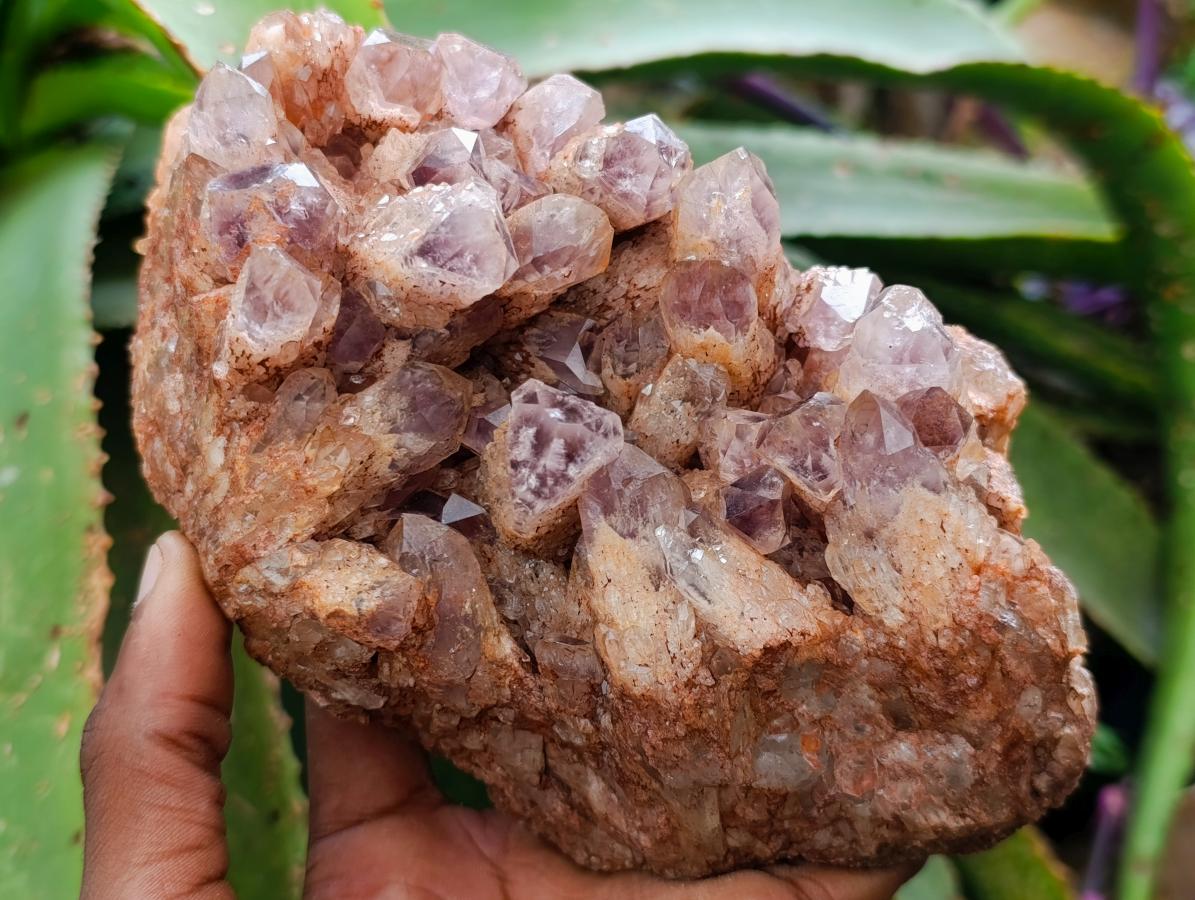 Natural Sugar Amethyst Clusters x 3 From Solwezi, Zambia - Toprock Gemstones and Minerals 