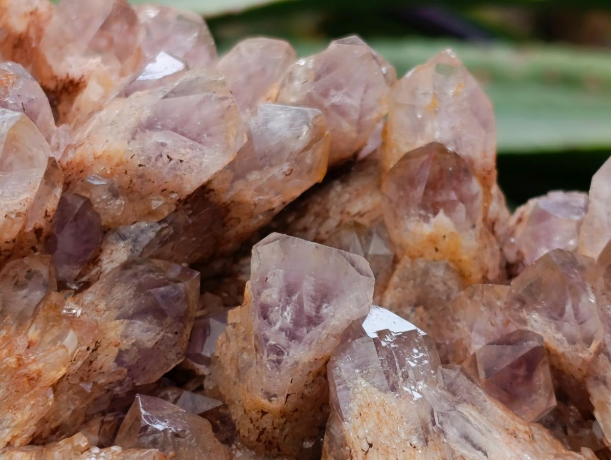 Natural Sugar Amethyst Clusters x 3 From Solwezi, Zambia - Toprock Gemstones and Minerals 