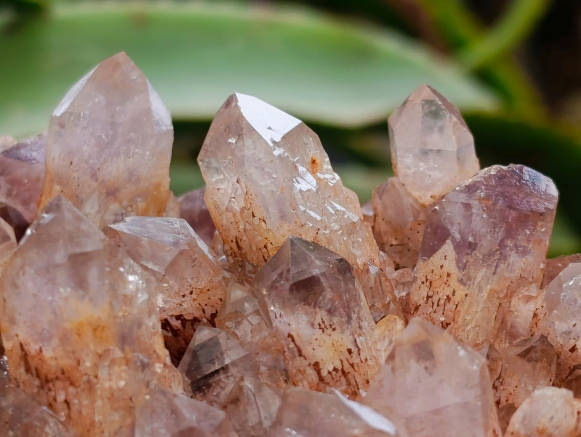 Natural Sugar Amethyst Clusters x 3 From Solwezi, Zambia - Toprock Gemstones and Minerals 