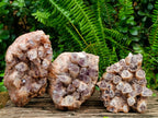 Natural Sugar Amethyst Clusters x 3 From Solwezi, Zambia - Toprock Gemstones and Minerals 