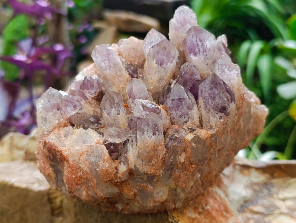 Natural Sugar Amethyst Clusters x 3 From Solwezi, Zambia - Toprock Gemstones and Minerals 