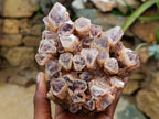 Natural Sugar Amethyst Clusters x 3 From Solwezi, Zambia - Toprock Gemstones and Minerals 