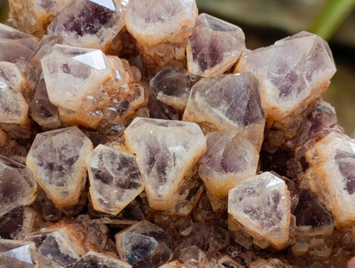 Natural Sugar Amethyst Clusters x 3 From Solwezi, Zambia - Toprock Gemstones and Minerals 