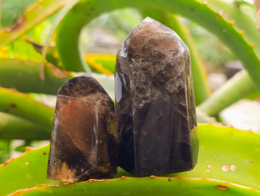 Polished Dark Morion Smokey Quartz Crystals x 12 From Madagascar - Toprock Gemstones and Minerals 