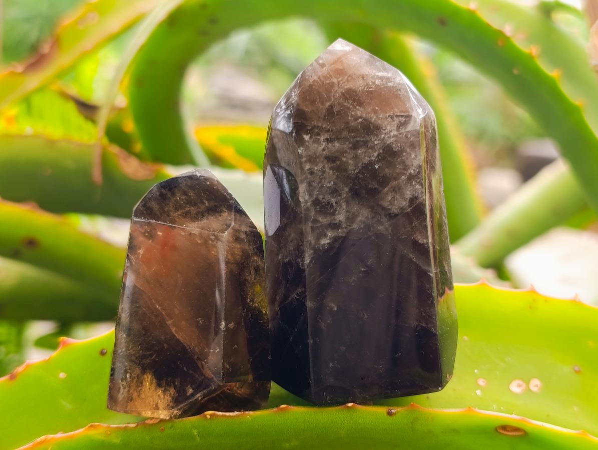 Polished Dark Morion Smokey Quartz Crystals x 12 From Madagascar - Toprock Gemstones and Minerals 