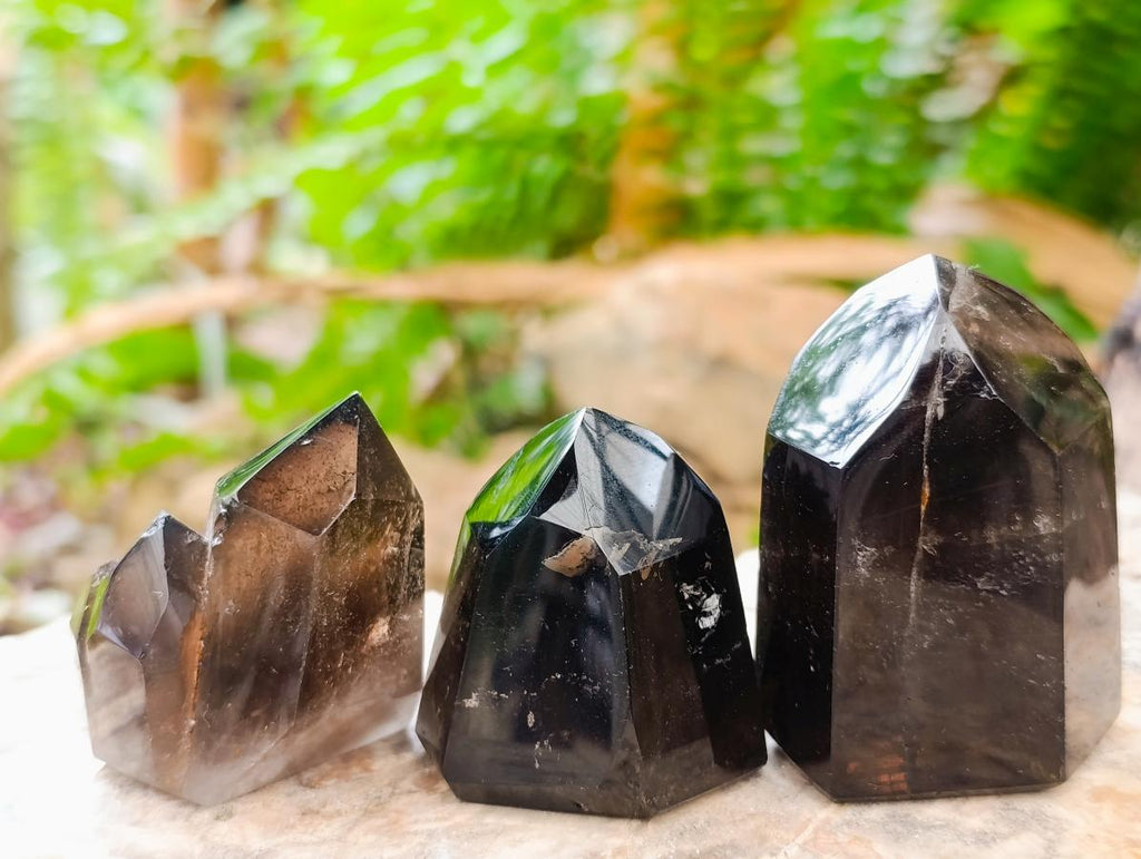 Polished Dark Morion Smokey Quartz Crystals x 12 From Madagascar - Toprock Gemstones and Minerals 
