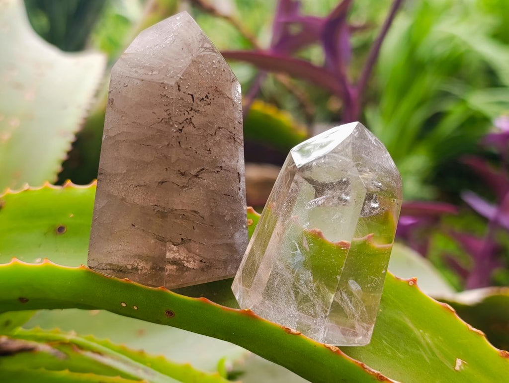 Polished Dark Morion Smokey Quartz Crystals x 12 From Madagascar - Toprock Gemstones and Minerals 