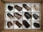 Polished Dark Morion Smokey Quartz Crystals x 12 From Madagascar - Toprock Gemstones and Minerals 