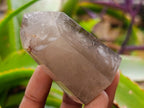 Polished Dark Morion Smokey Quartz Crystals x 12 From Madagascar - Toprock Gemstones and Minerals 