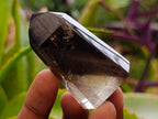 Polished Dark Morion Smokey Quartz Crystals x 12 From Madagascar - Toprock Gemstones and Minerals 