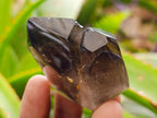 Polished Dark Morion Smokey Quartz Crystals x 12 From Madagascar - Toprock Gemstones and Minerals 
